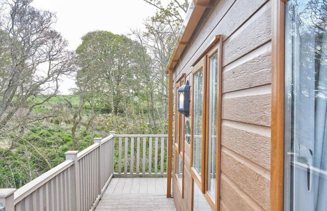 Host Stay Yolo Lodge - Foto 16