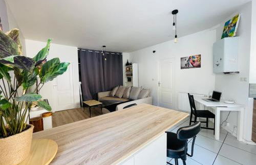 Cocon Lyon, terrasse, WIFI, bus - Foto 7