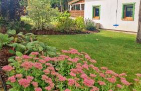 Zielony Domek w Nartach - Mazury - Photo 10