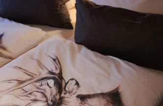 Ferienhaus MeinWeg - Foto 19