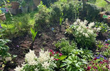 Apple Tree Cottage - Photo 22