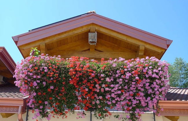 Agritur Vista Lago - Foto 22