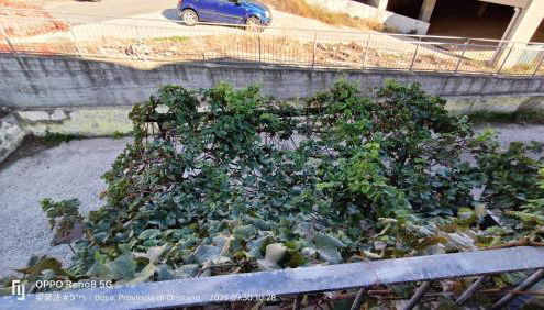 Casa Allende - Foto 4