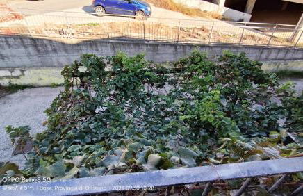 Casa Allende - Foto 4