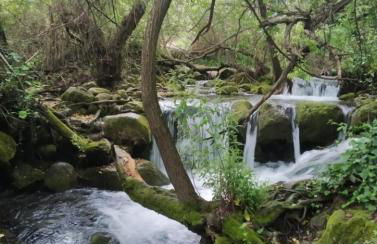 Alojamientos Sierra de Cádiz Benamahoma - Foto 43