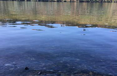 CreaConfort - Casa do Rio - Foto 120