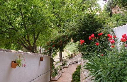 El Huertecillo - Foto 16