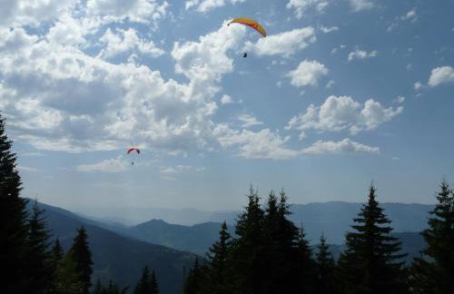 Appartements Le Clos des Gentianes - Foto 26