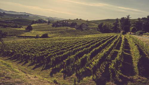 Agriturismo Ma Che Bel Castello - Foto 5