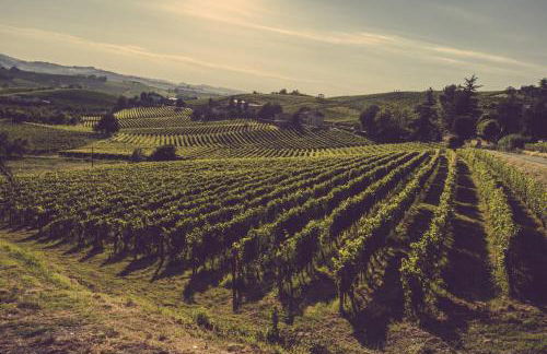 Agriturismo Ma Che Bel Castello - Photo 5