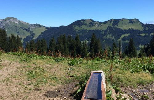 LATITUDE 47 - Foto 21