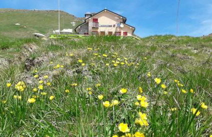 Residenza Letizia - Foto 40