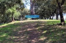 Mazet avec piscine dans le Var Le Mirabilis - Foto 8