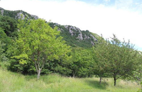 Villa Nona Tamara with Astonishing Sea & Mountains View - Foto 28