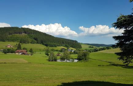 Ferienwohnung am Schneeberg - Foto 29
