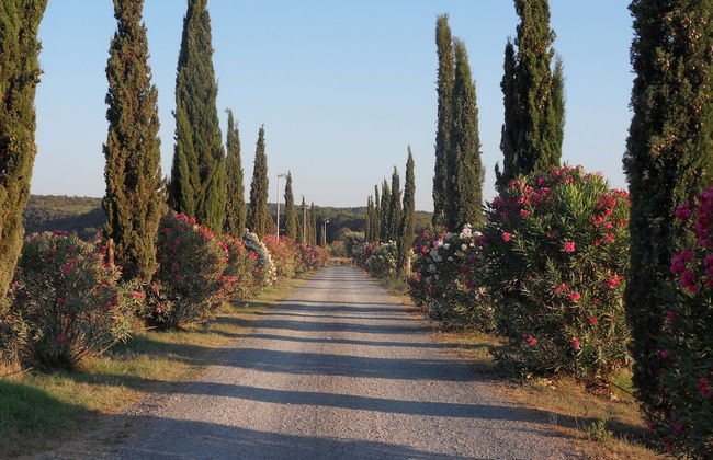 Fattoria La Steccaia - Foto 54