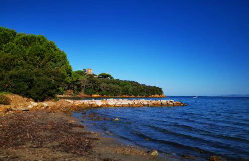 Punta Ala Bilocale Vista Mare 6 Posti Letto! Punta Ala Monolocale Vista Mare 4 Posti Letto! - Foto 26