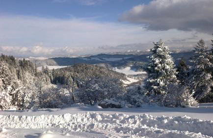 Domek pod Majową Górą - Foto 19