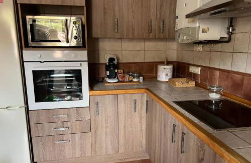 Apartamento el Remiendu Pegau - Foto 18