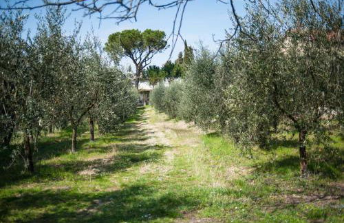 Agriturismo Dipinture - Foto 41