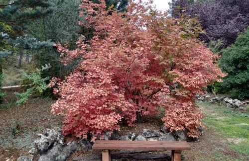 El Rincón de María. - Foto 26