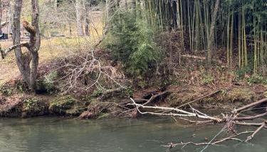 Riverfront Blue Jay Cabin - Foto 3