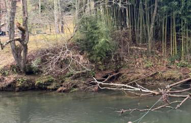 Riverfront Blue Jay Cabin - Foto 3