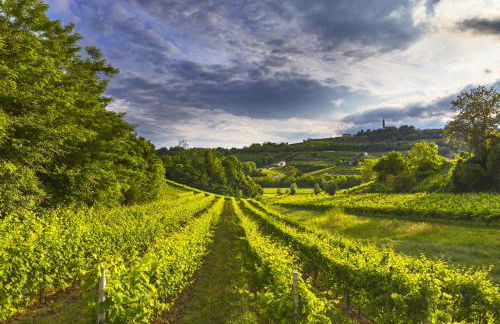 La Valle dei Laghi - Foto 46