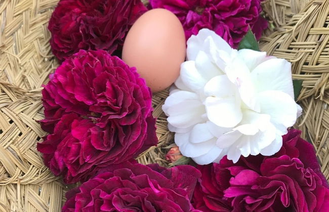 Delightful 4BD Home Full of Flair Edenbridge Kent - Foto 24