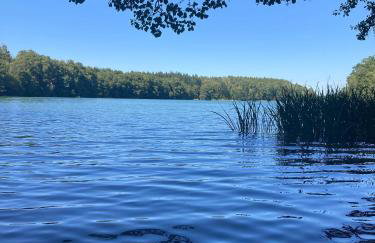 Bungalows im Grünen - Photo 21