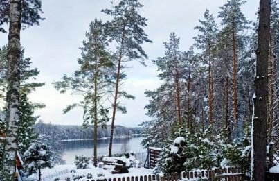 Scandinavian-style lake house - Photo 16