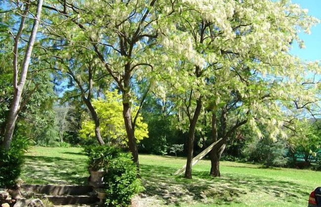 Hermitage Cottage - Photo 16