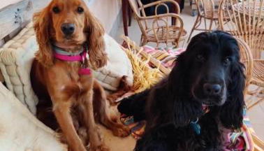 Villa Margherita Art and Music - Foto 4