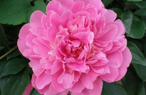 Aparthotel Grabner - Foto 44