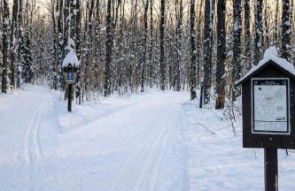 Husky Hideaway Near Pictured Rocks & Trail 8 - Foto 35