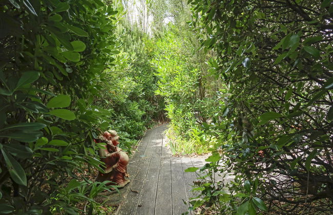 d'artistes - Foto 35