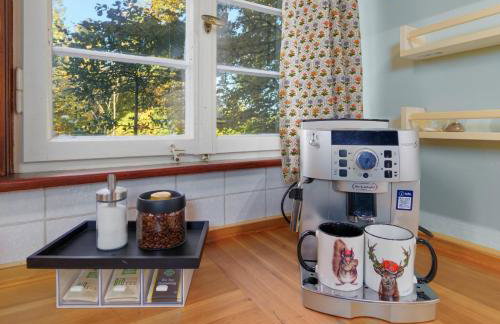 Altes Forsthaus Kniebis | Ski | Nachtloipe | eingezäunt - Foto 50