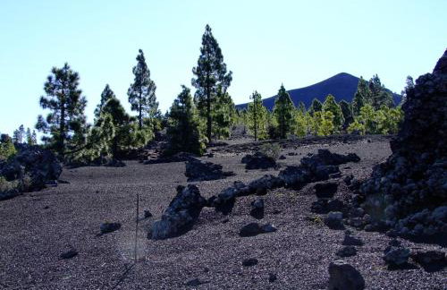 Villas Las Cercas - Photo 64