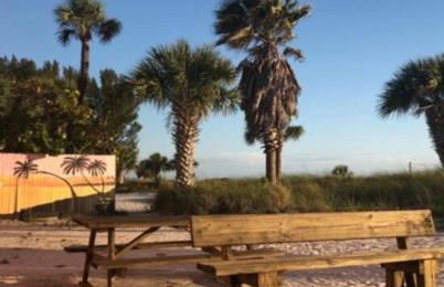 Beachfront Condo On Quiet Treasure Island- 1 Bed - Photo 33