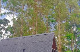 Chalé da Mantiqueira SFX , Pet friendly - Foto 5