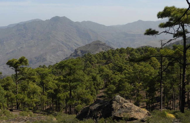 Trekking nella riserva di Inagua - Foto 3
