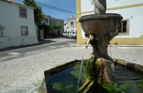 Casa da Palma - Foto 64