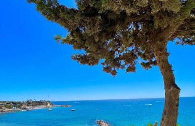 Apartment Pura Vida with seaview, 500m from beach, Cabo Roig - Foto 1