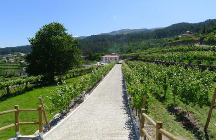 Casa de Ladreda - Foto 6