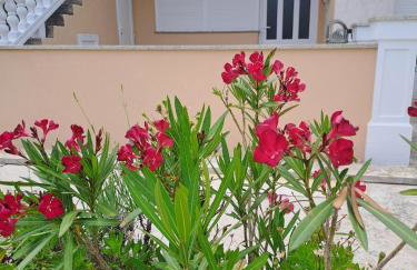 Apartments Gordana - Foto 65