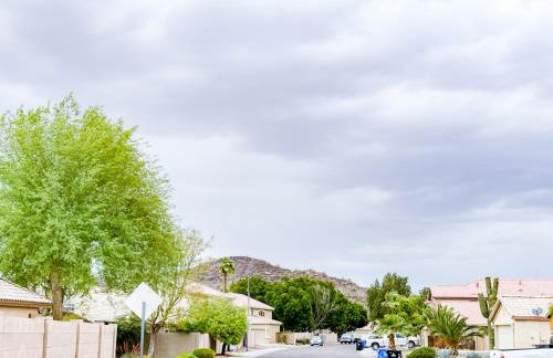 Cactus Bonito - Foto 14