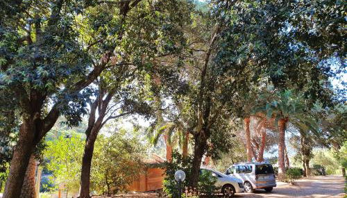 Casa i Forni a Porto Azzurro - Goelba - Foto 4, Garden, Garden view