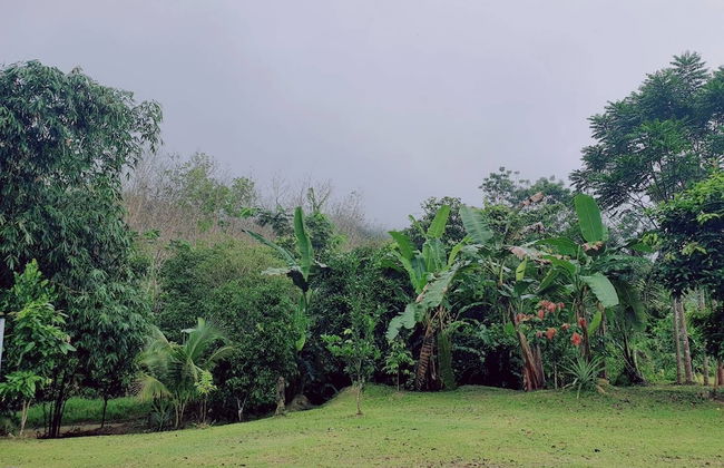 Baansuan Suksangob Farm Stay - Photo 23