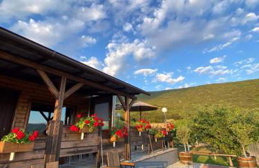 ΛΩΤΟΣ - Photo 29