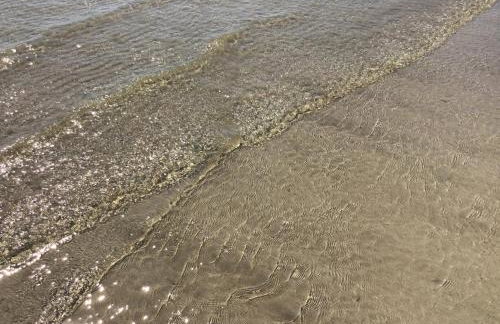 5a Plantation Road - Foto 23